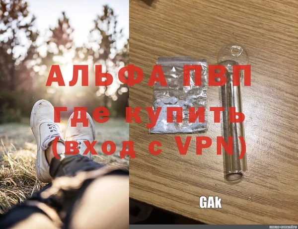 дживик Медвежьегорск