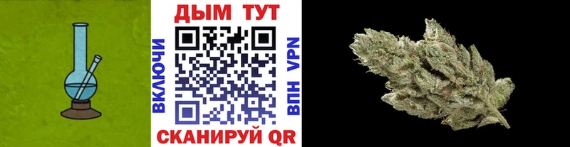 купить наркотик  Орлов  Конопля семена 